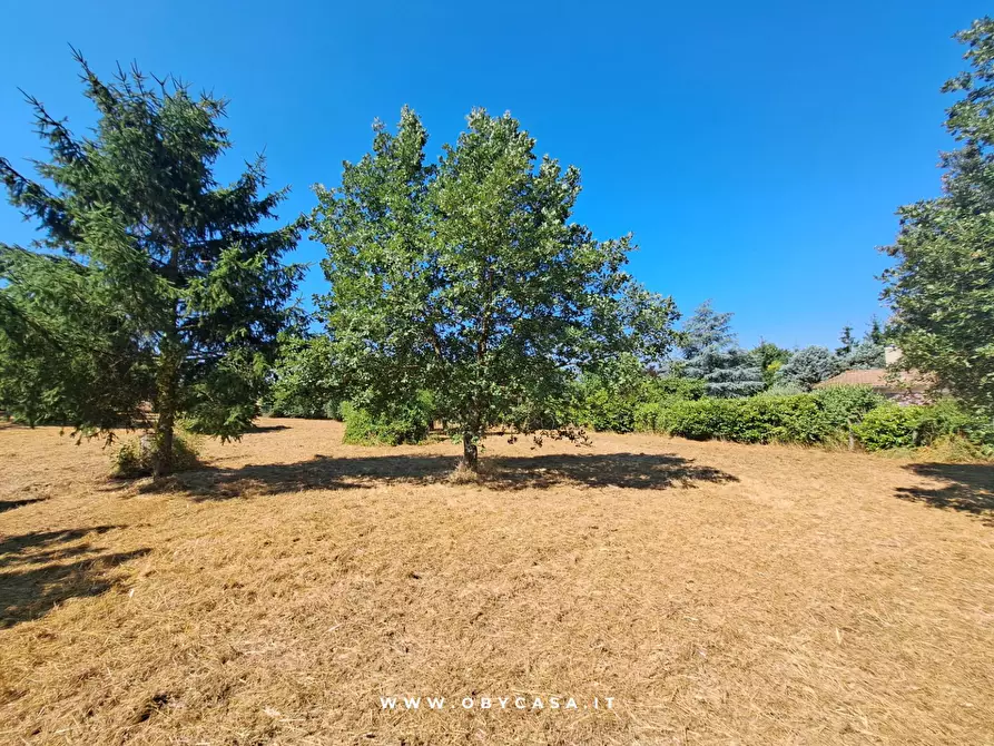 Immagine 9 di Casa indipendente in vendita  in Bassano Romano a Bassano In Teverina