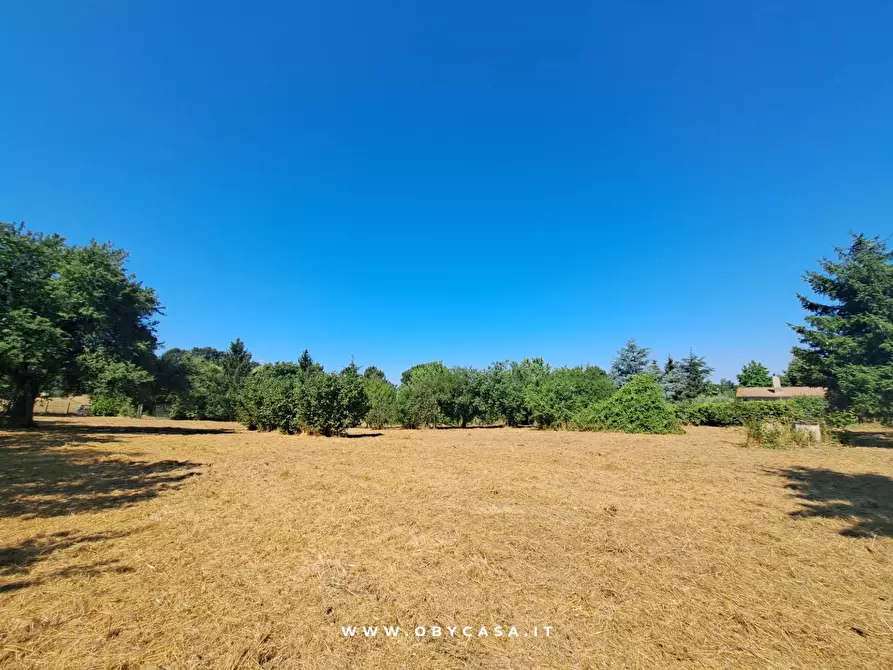 Immagine 10 di Casa indipendente in vendita  in Bassano Romano a Bassano In Teverina