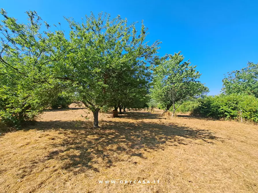 Immagine 11 di Casa indipendente in vendita  in Bassano Romano a Bassano In Teverina