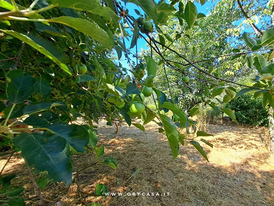 Immagine 12 di Casa indipendente in vendita  in Bassano Romano a Bassano In Teverina