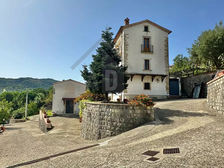 Immagine 3 di Villa in vendita  in VIALE VIRGILIO 9 a Altilia