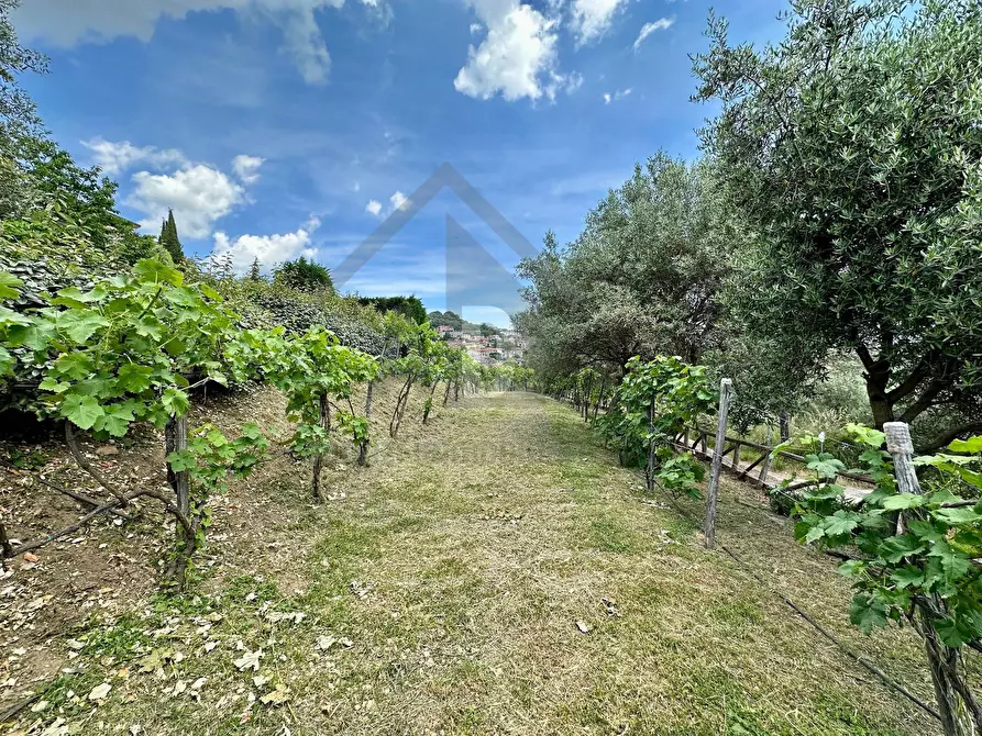 Immagine 46 di Villa in vendita  in VIALE VIRGILIO 9 a Altilia