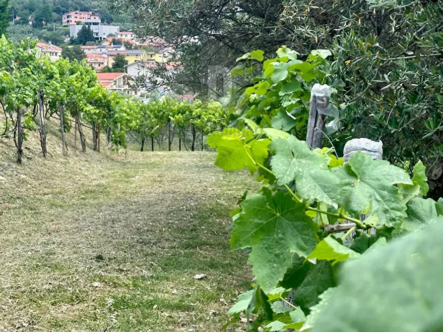 Immagine 47 di Villa in vendita  in VIALE VIRGILIO 9 a Altilia