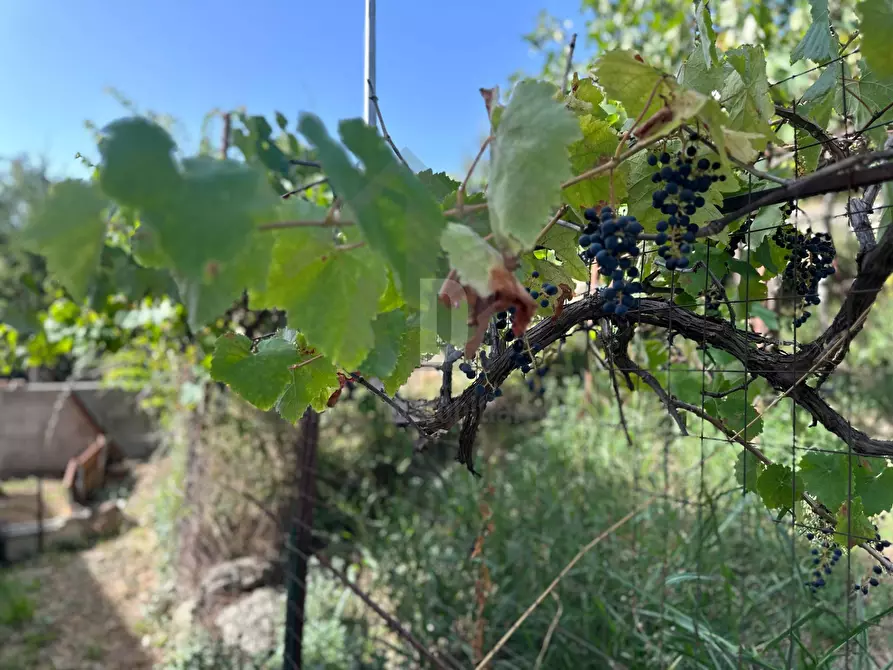 Immagine 48 di Villa in vendita  in VIALE VIRGILIO 9 a Altilia