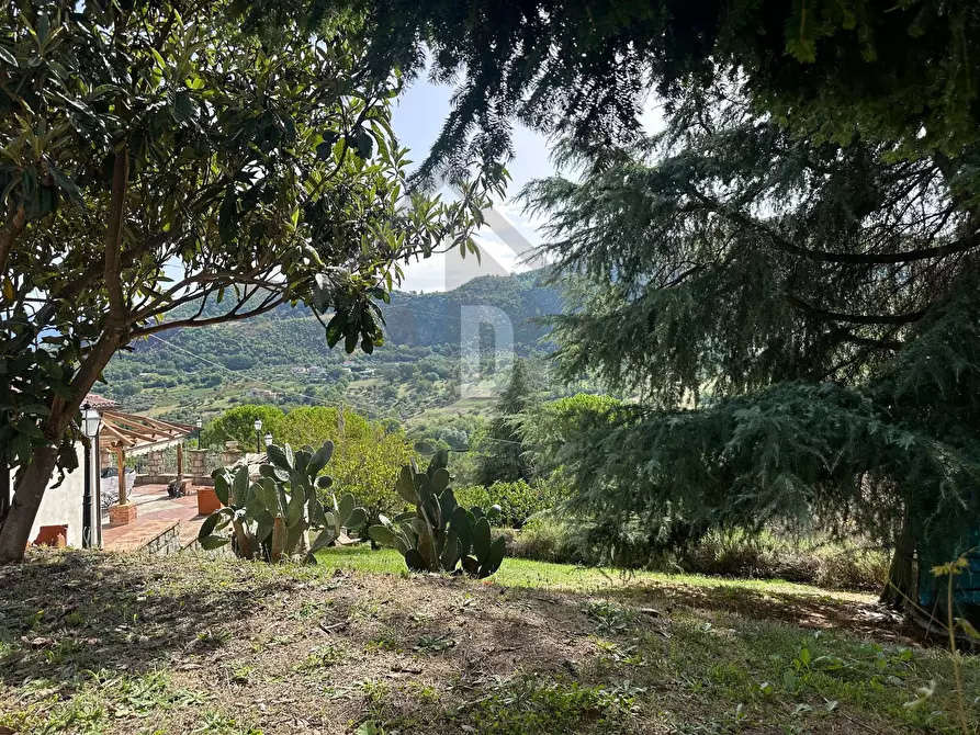 Immagine 58 di Villa in vendita  in VIALE VIRGILIO 9 a Altilia