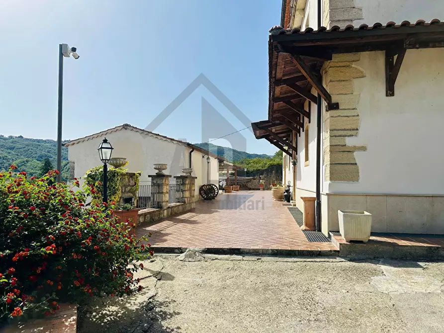 Immagine 61 di Villa in vendita  in VIALE VIRGILIO 9 a Altilia