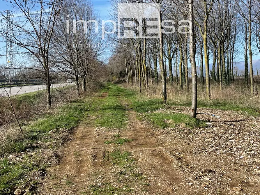 Immagine 3 di Terreno agricolo in vendita  a San Quirino