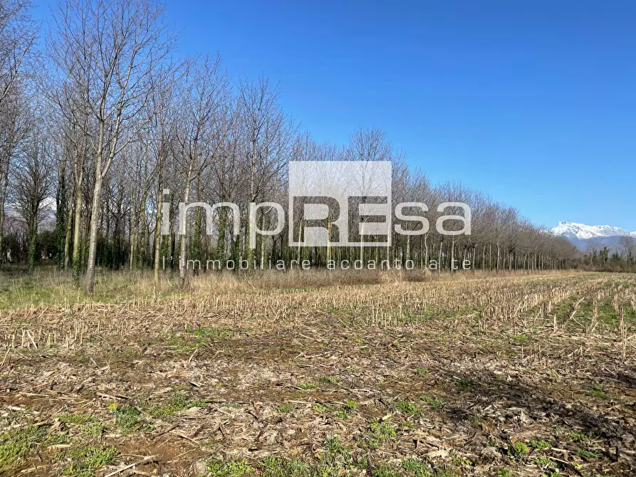 Immagine 2 di Terreno agricolo in vendita  a San Quirino