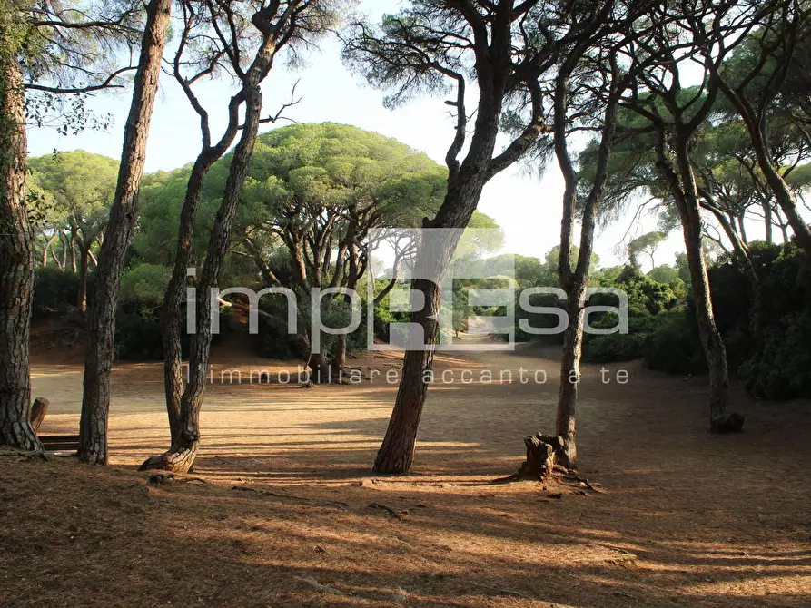 Immagine 10 di Casa indipendente in vendita  a Jesolo