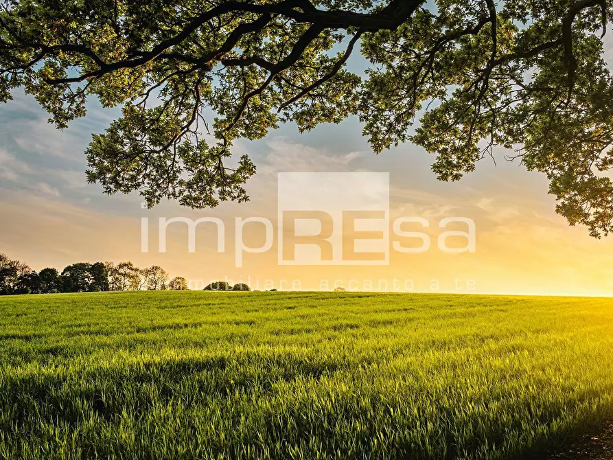 Immagine 6 di Terreno residenziale in vendita  in Via Ca Pasquali a Cavallino-Treporti