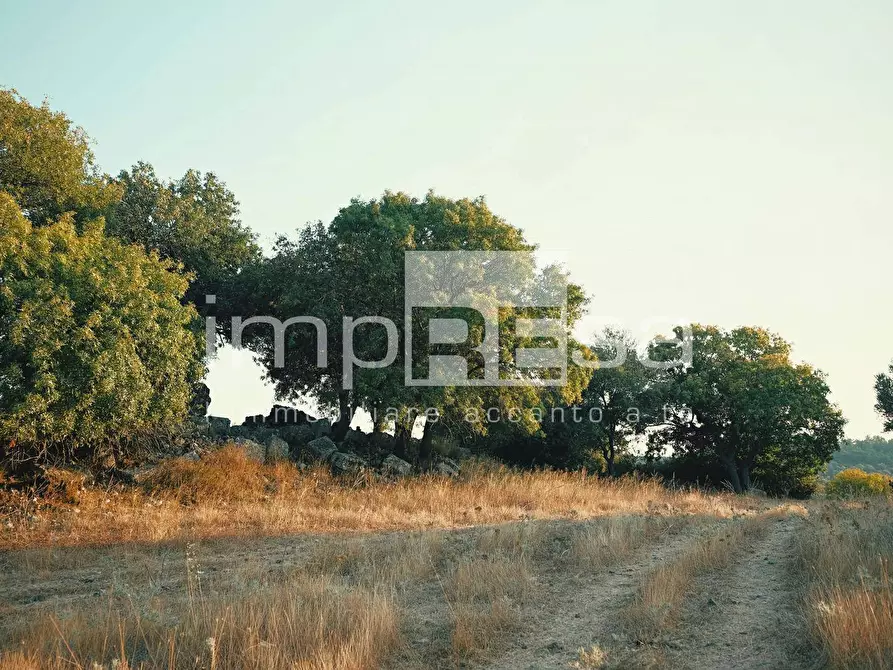 Immagine 7 di Terreno residenziale in vendita  in Via Ca Pasquali a Cavallino-Treporti