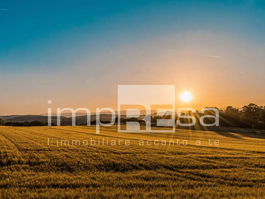 Immagine 10 di Terreno residenziale in vendita  in Via Ca Pasquali a Cavallino-Treporti
