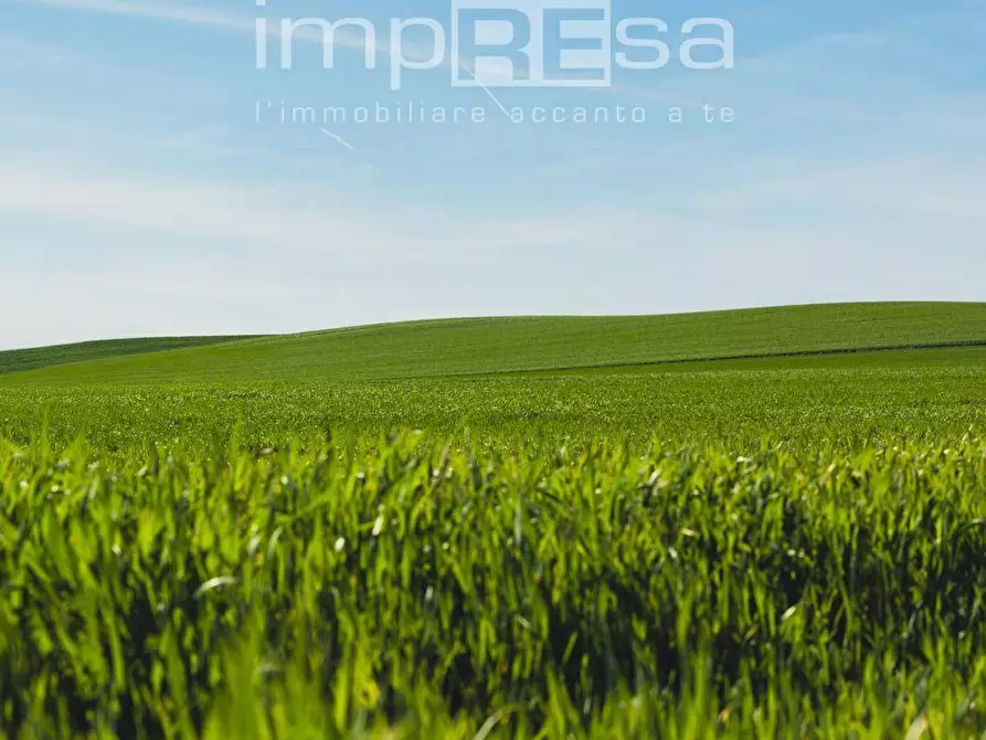 Immagine 2 di Terreno residenziale in vendita  in Via Ca Pasquali 26 a Cavallino-Treporti