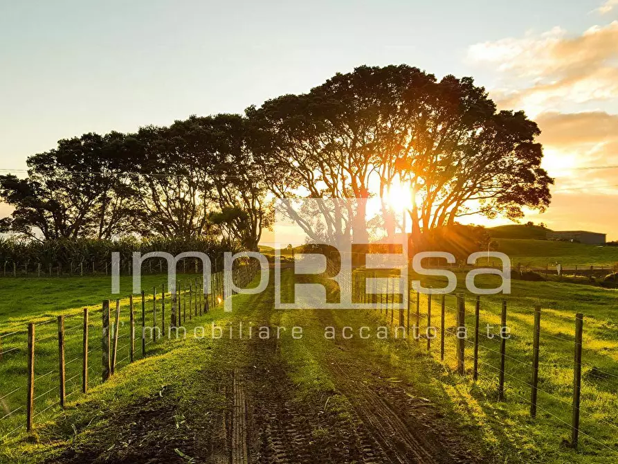 Immagine 6 di Terreno residenziale in vendita  in Via Ca Pasquali 26 a Cavallino-Treporti