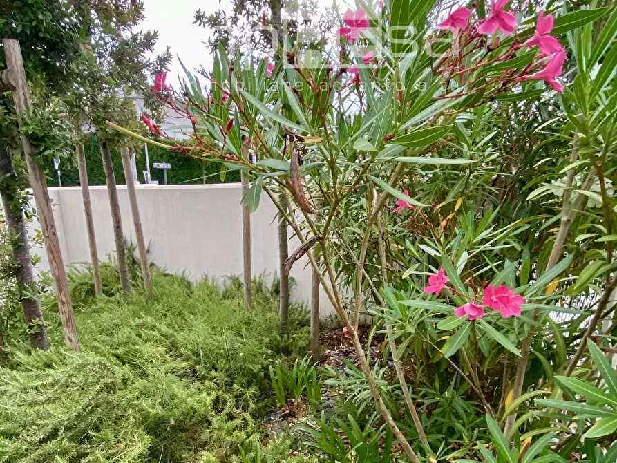 Immagine 2 di Appartamento in vendita  a Jesolo