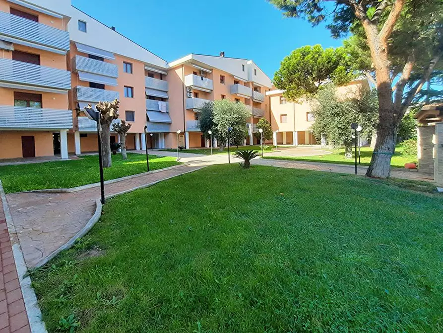 Immagine 15 di Appartamento in vendita  in via IV Novembre a Tortoreto