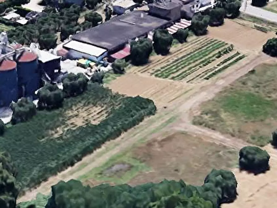 Immagine 7 di Terreno residenziale in vendita  in Via Ascolana a Alba Adriatica