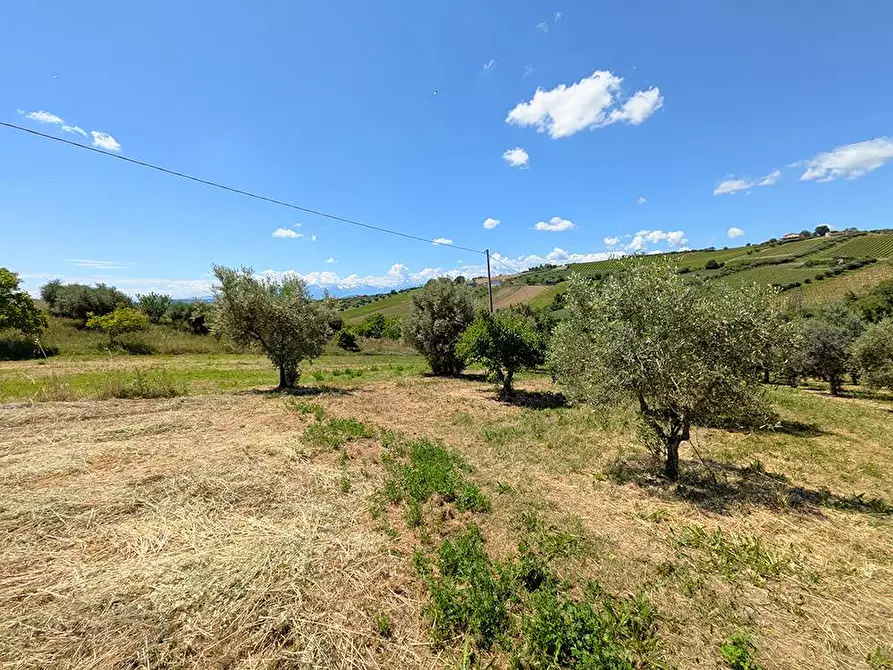 Immagine 16 di Casa semindipendente in vendita  in Contrada San Biagio a Ancarano