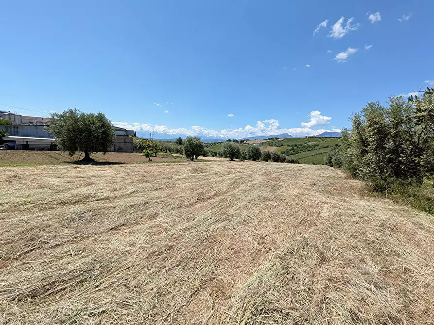 Immagine 2 di Terreno agricolo in vendita  in Contrada San Biagio a Ancarano