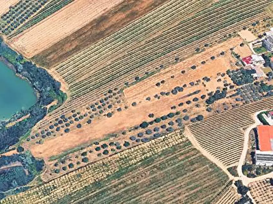 Immagine 7 di Terreno agricolo in vendita  in Contrada San Biagio a Ancarano