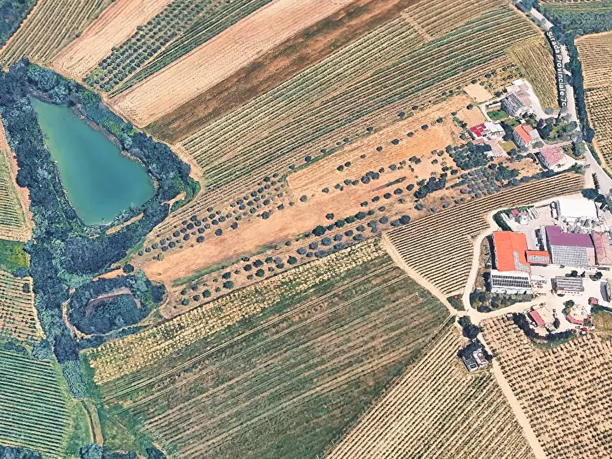 Immagine 1 di Terreno agricolo in vendita  in Contrada San Biagio a Ancarano