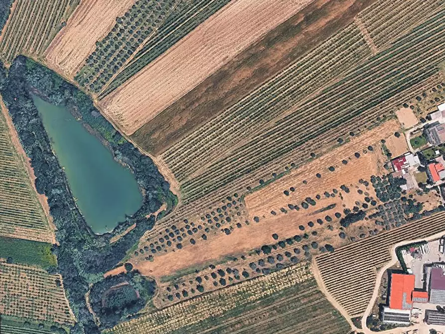 Immagine 8 di Terreno agricolo in vendita  in Contrada San Biagio a Ancarano