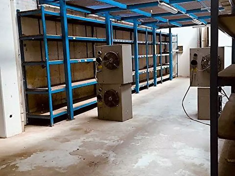 Immagine 3 di Capannone industriale in affitto  in Via Toscanini snc a Ferrara