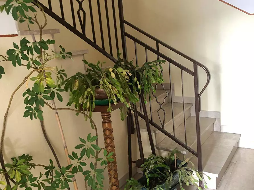 Immagine 5 di Casa indipendente in vendita  in Via Brizio Petrucci snc a Ferrara