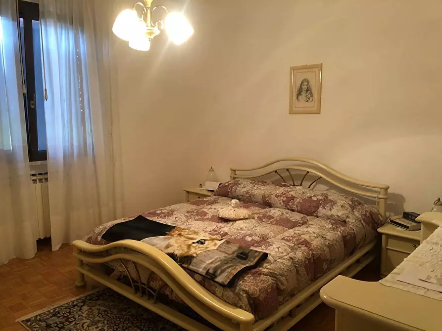 Immagine 22 di Casa indipendente in vendita  in Via Brizio Petrucci snc a Ferrara