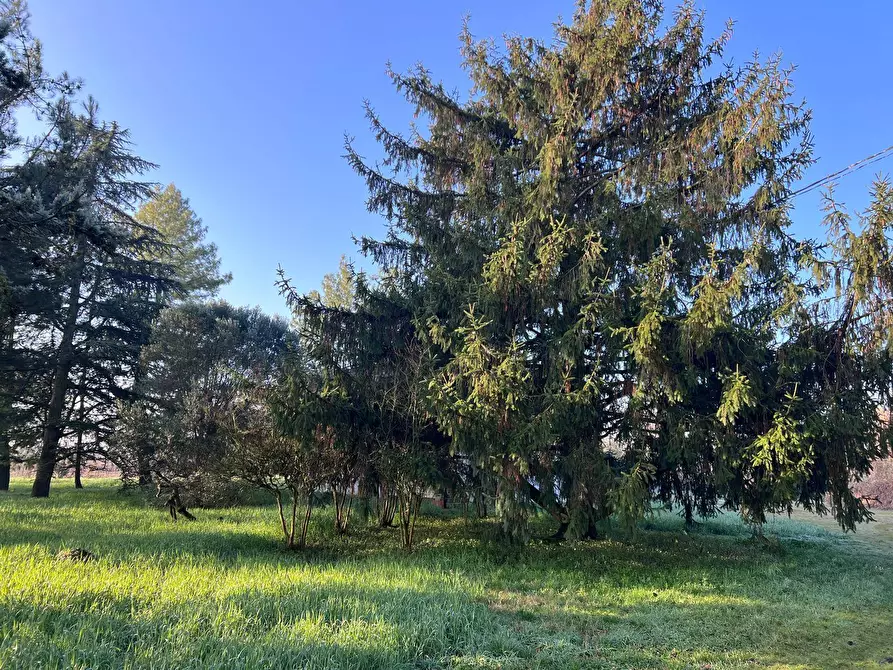 Immagine 8 di Villa in vendita  in Via Ravenna 416 a Ferrara