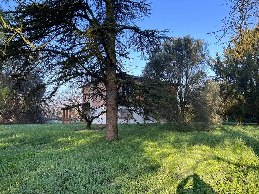 Immagine 26 di Villa in vendita  in Via Ravenna 416 a Ferrara