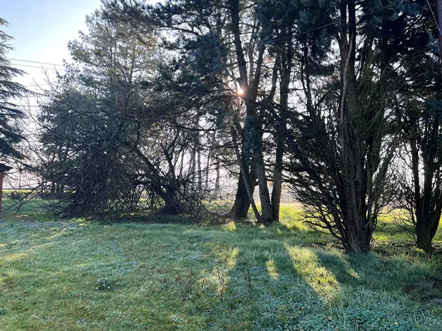 Immagine 33 di Villa in vendita  in Via Ravenna 416 a Ferrara