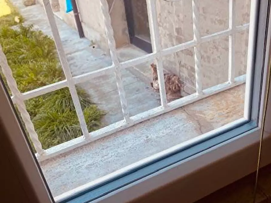 Immagine 17 di Casa indipendente in affitto  in Via Antenore Soffritti 25 a Ferrara