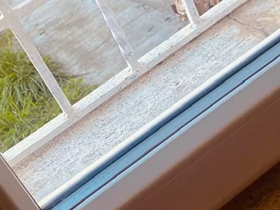 Immagine 18 di Casa indipendente in affitto  in Via Antenore Soffritti 25 a Ferrara