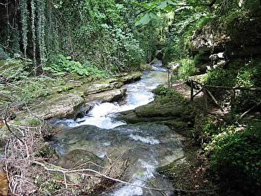 Immagine 5 di Attività commerciale in vendita  in contrada canale a Caramanico Terme