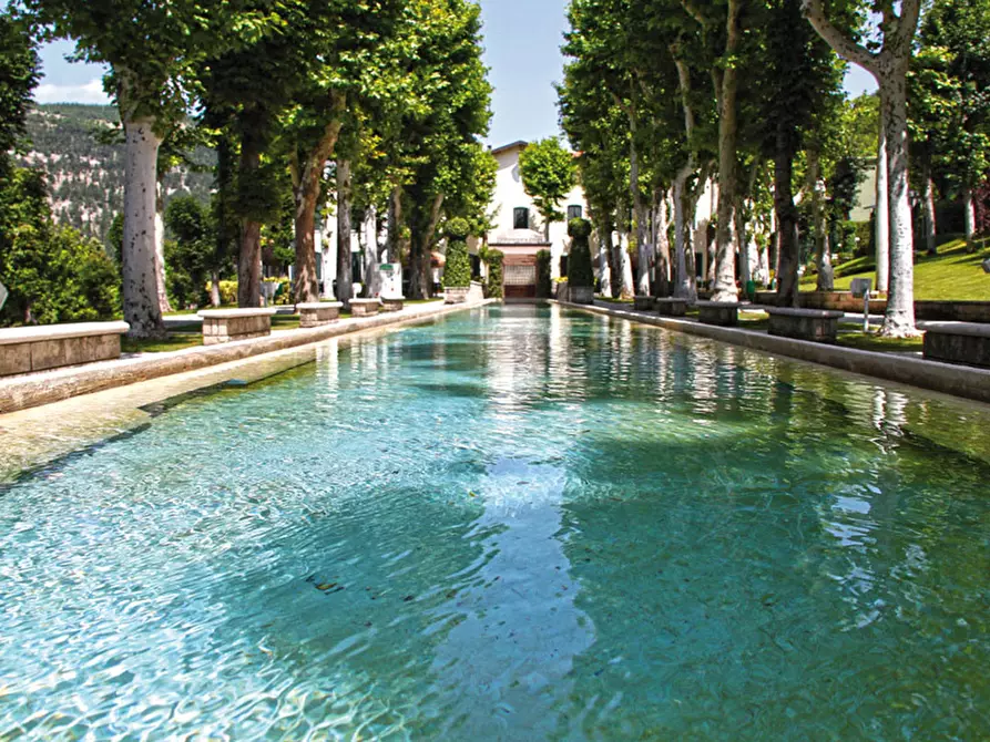 Immagine 6 di Attività commerciale in vendita  in contrada canale a Caramanico Terme