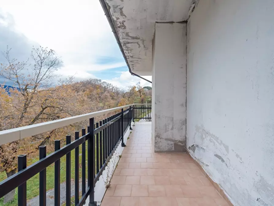 Immagine 41 di Attività commerciale in vendita  in contrada canale a Caramanico Terme