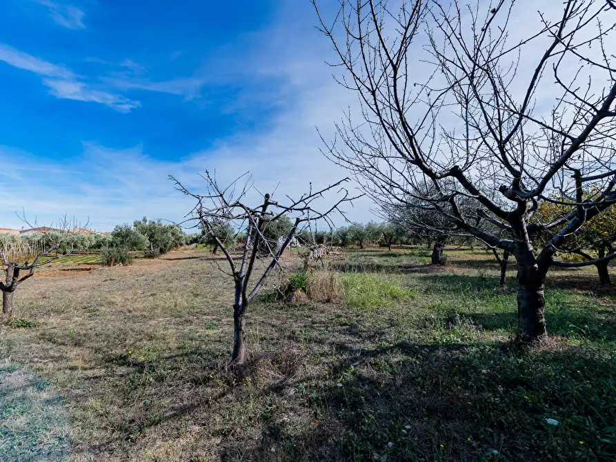 Immagine 24 di Casa indipendente in vendita  in Via della liberazione a Ari