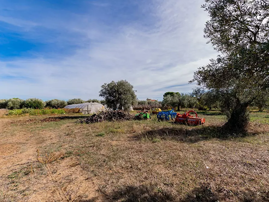 Immagine 35 di Casa indipendente in vendita  in Via della liberazione a Ari
