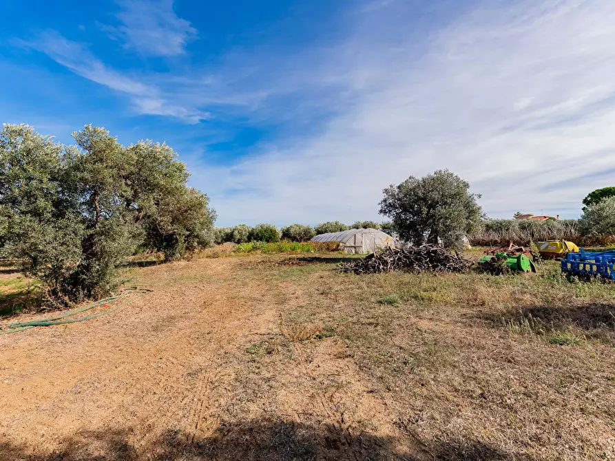 Immagine 36 di Casa indipendente in vendita  in Via della liberazione a Ari