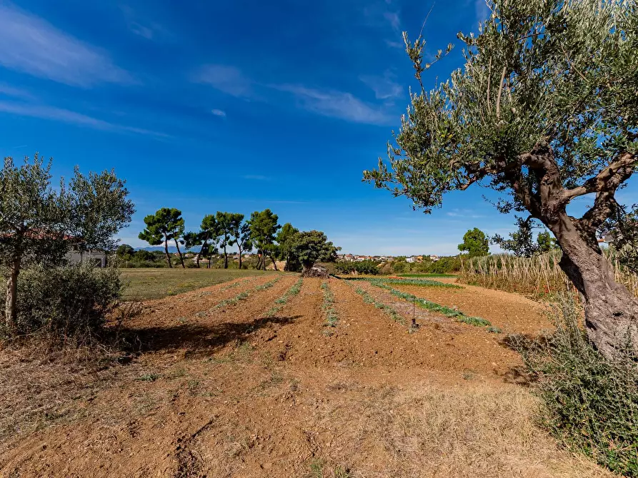 Immagine 37 di Casa indipendente in vendita  in Via della liberazione a Ari