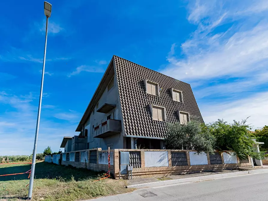Immagine 33 di Casa indipendente in vendita  in Via della liberazione a Ari