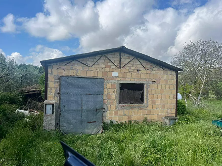 Immagine 2 di Magazzino in vendita  a Miglianico