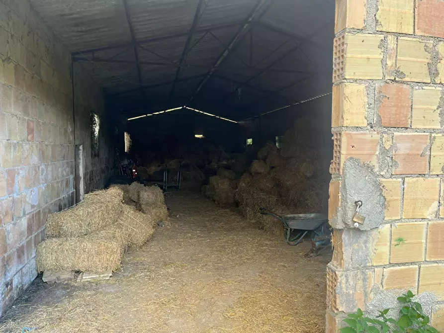 Immagine 5 di Magazzino in vendita  a Miglianico