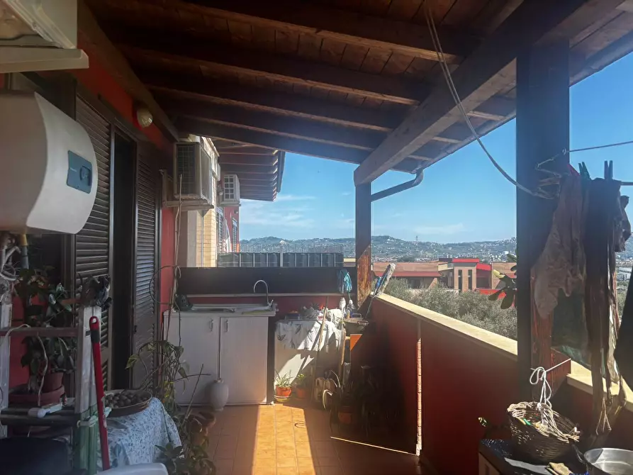 Immagine 9 di Appartamento in vendita  in via dei platani 36 a Pianella