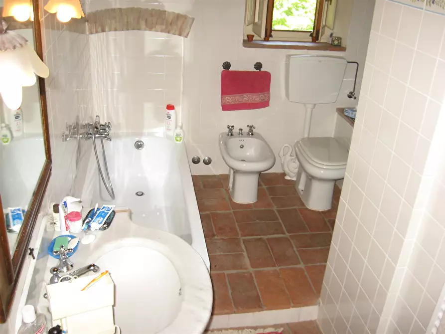 Immagine 13 di Rustico / casale in vendita  a Montespertoli