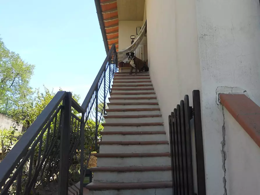 Immagine 2 di Appartamento in affitto  a Montespertoli