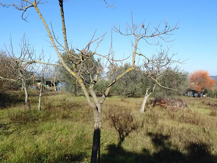 Immagine 16 di Rustico / casale in vendita  a Montespertoli