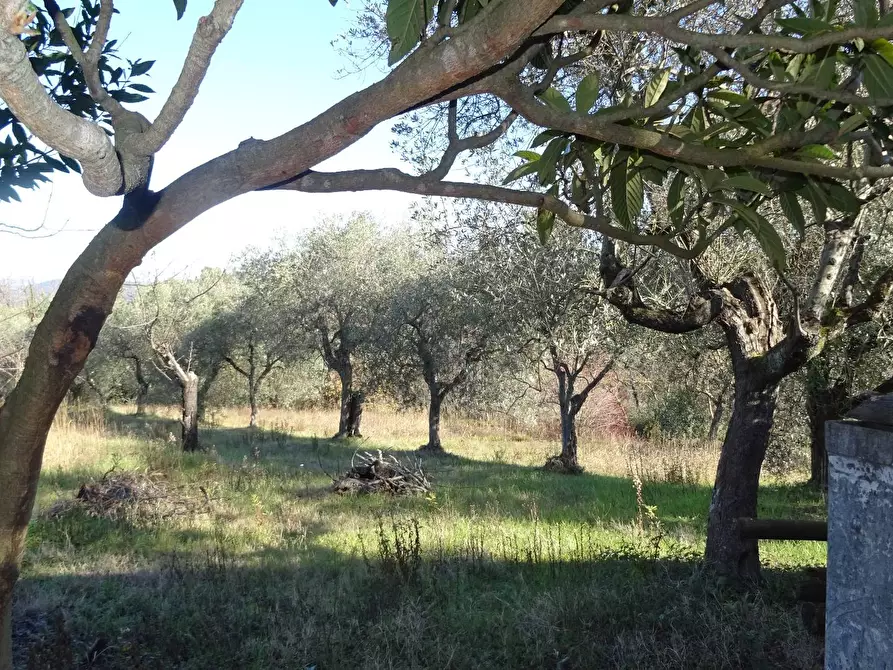 Immagine 18 di Rustico / casale in vendita  a Montespertoli