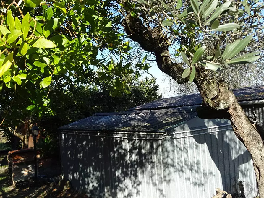 Immagine 19 di Rustico / casale in vendita  a Montespertoli